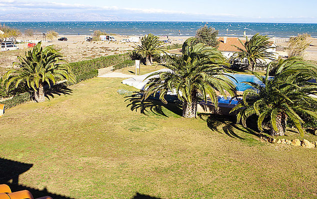 Royal Delta - Photo 8