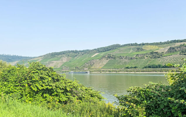 Tiny Haus Vierseenblick Nummer 1 - Photo 27