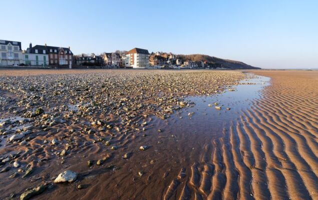 Les Jardins de la Côte Fleurie - Photo 14