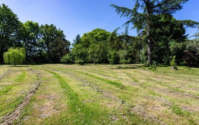La Gicquelière - Photo 46