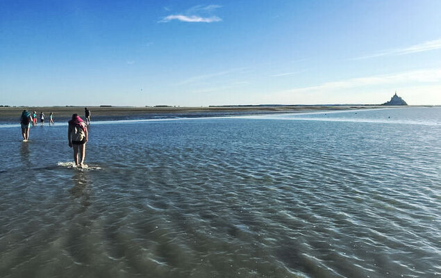 La Gicquelière - Photo 57