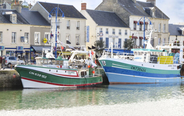 Les Londes - Photo 33