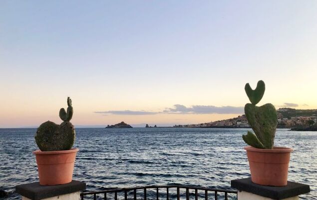 New Etna view - Photo 20