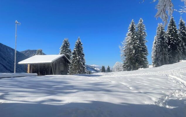 Runnimoos - Photo 28